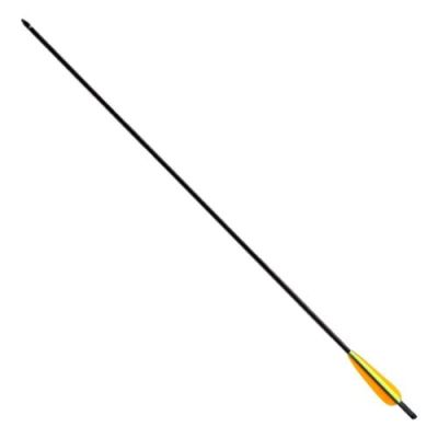 EK ARCHERY CARBON BOLT 20 INCHES BLACK (D067B)